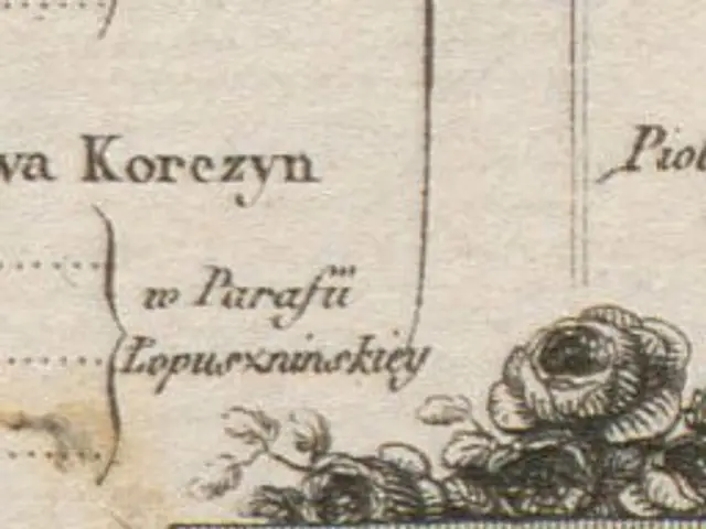 The image shows an old map of the city of Moscow, Russia, with a drawing of flowers and text on it....