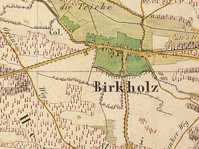The image shows an old map of the city of Birkholz, Germany. It is a detailed map with text written...