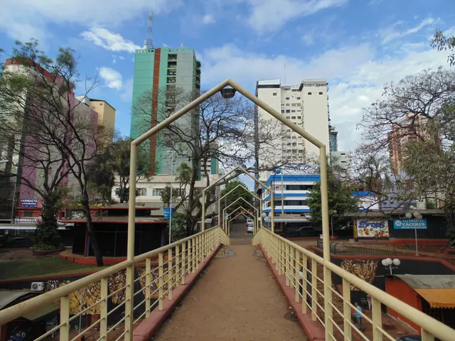 The image shows a pedestrian bridge in the middle of a city with tall buildings in the background....