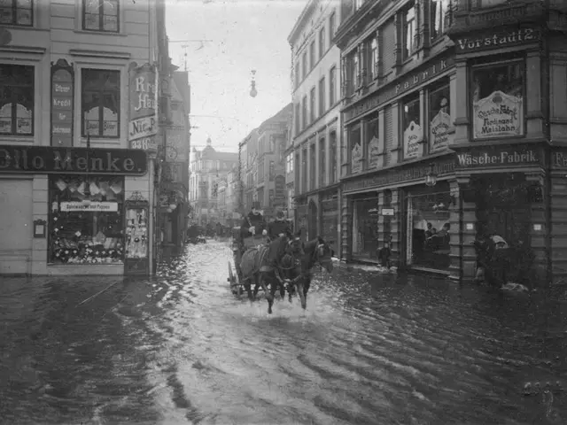 The image shows a horse drawn carriage driving through a flooded street in Berlin, Germany. The...