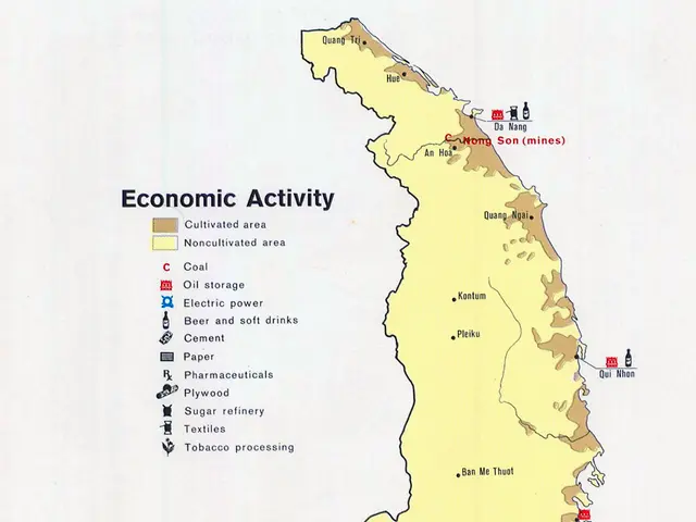 The image shows a poster of a map of Vietnam with the words "Economic Activity" written across the...