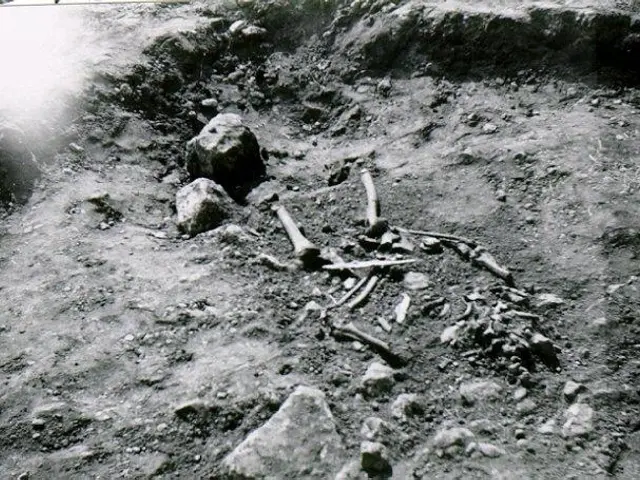The image shows a black and white photo of a skeleton in the dirt, surrounded by stones and other...