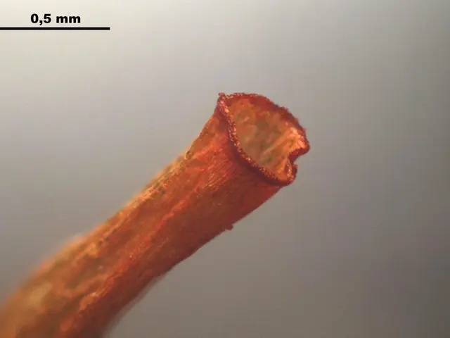 The image shows a close up of a copper wire with a small hole in it, and at the top of the image...