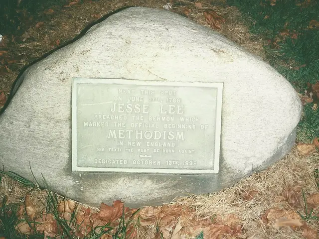 The image shows a large rock with a plaque on it in the grass, surrounded by dried leaves and...