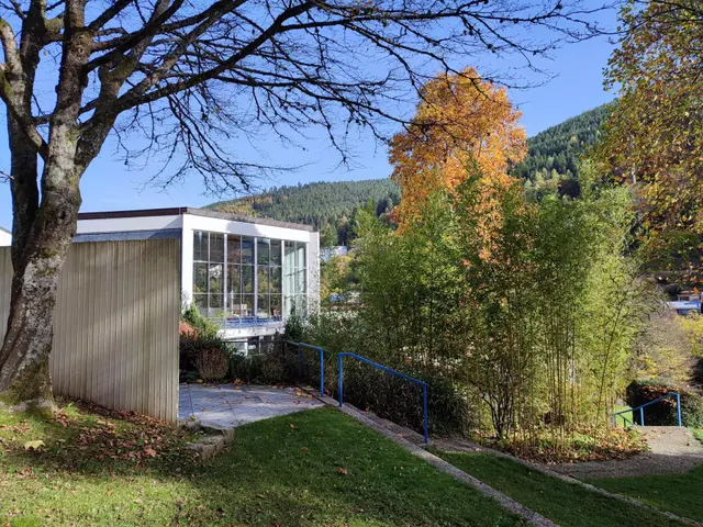 The image shows a building with a tree in front of it, surrounded by grass, dried leaves, plants,...