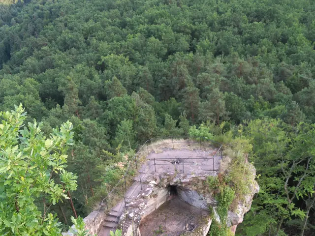 The image shows a view from the top of a cliff in the woods, with a rock in the foreground and...