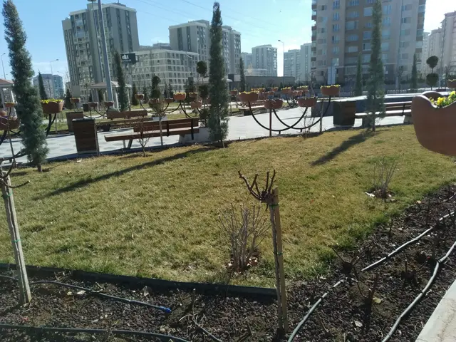 The image shows a park with a variety of plants and trees in pots, surrounded by buildings, street...