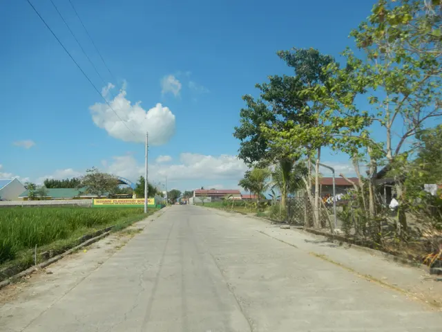 The image shows a road with grass on either side, a fence on the right side, trees and buildings in...