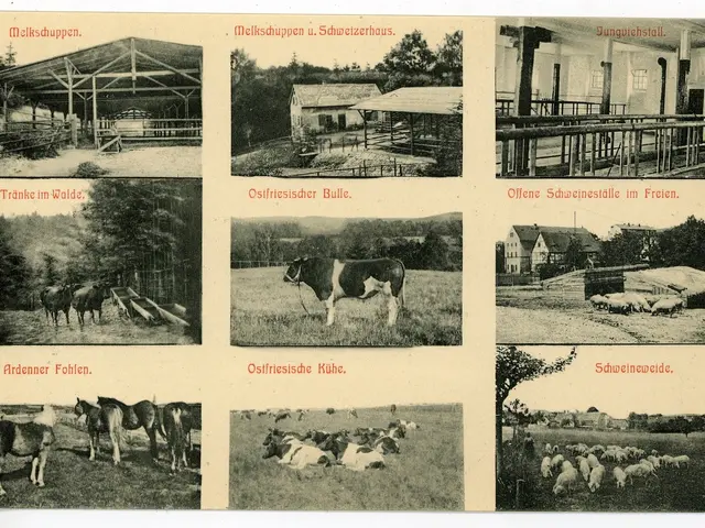 The image shows a black and white photo of a farm with a variety of animals, including cows,...