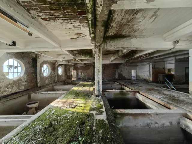 The image shows an old abandoned building with moss growing on the walls, windows, pillars, pipes,...