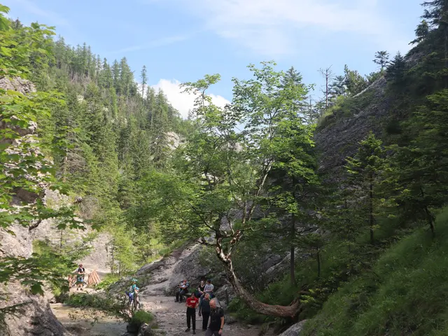 The image shows a group of people walking down a trail in the woods, surrounded by trees, hills,...