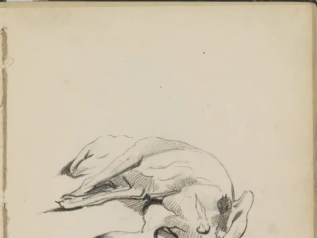 The image shows a book with a drawing of a dog on it. The drawing is detailed and lifelike, with...