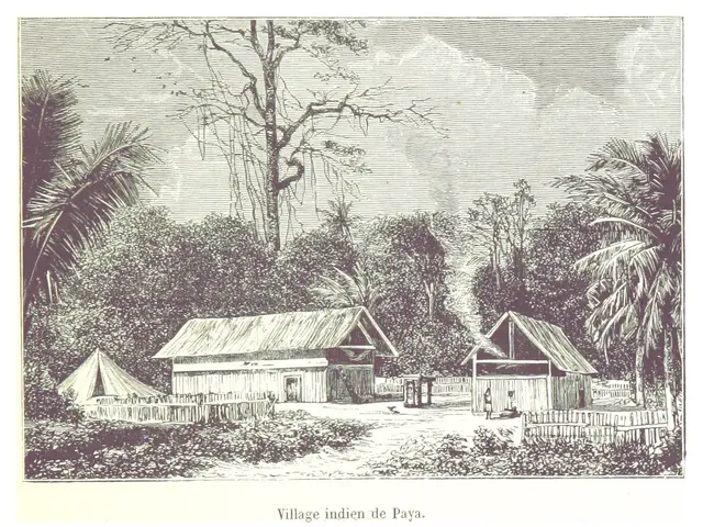 The image shows a village in the Philippines, with houses, trees, plants, and a sky in the...