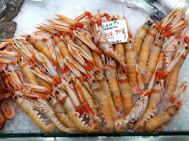 The image shows a display case filled with lots of different types of seafood, including prawns, on...