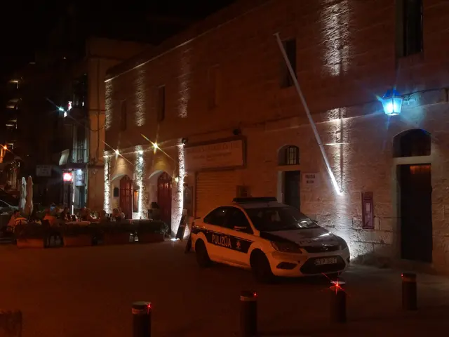 The image shows a police car parked in front of a building at night. We can see the car on the road...