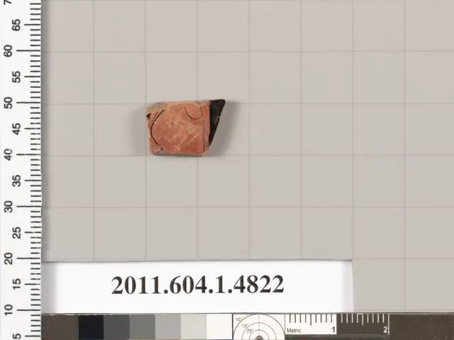 The image shows a small piece of clay with a ruler next to it on a white surface. The ruler has...