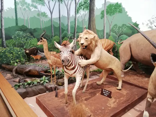 The image shows a display case filled with a variety of stuffed animals, including a lion, zebra,...