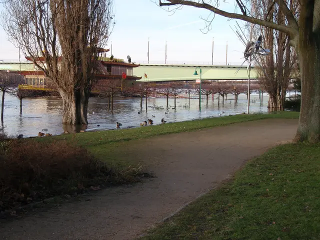 The image shows a flooded path in the middle of a park with trees and grass on either side. In the...