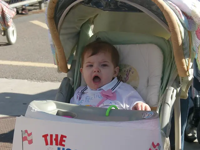 The image shows a baby in a stroller with a sign that reads "USS Peleliu Kidnapped My Daddy Give...