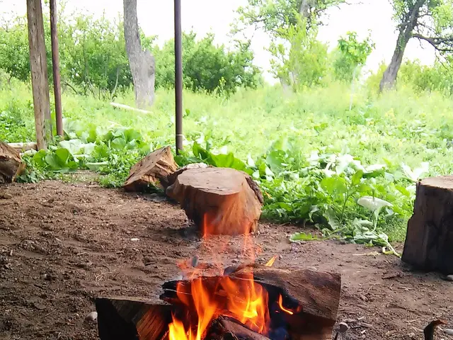 The image shows a fire burning in the middle of a dirt field, surrounded by wooden logs and sticks....