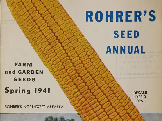 The image shows a book on a white surface with a picture of a maize on the cover page and text that...