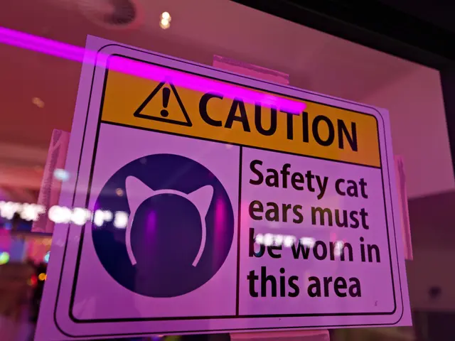 The image shows a caution sign in the window of a store that reads "Caution: Safety Cat Ears Must...