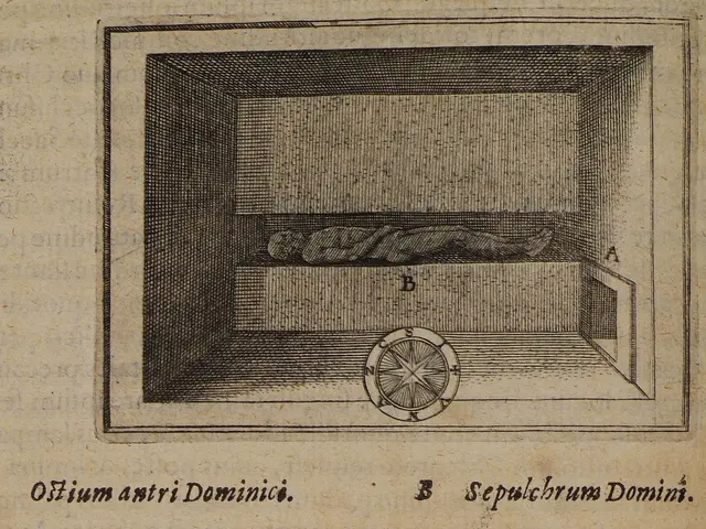 The image shows a drawing of a man laying in a box with a wheel in the middle, surrounded by text...
