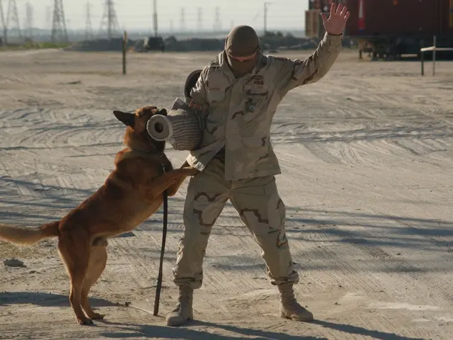 The image shows a man in military uniform playing with a dog on a leash. He is wearing a cap,...