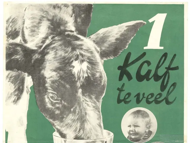 The image shows a poster with a cow drinking milk from a glass, surrounded by pictures of children....