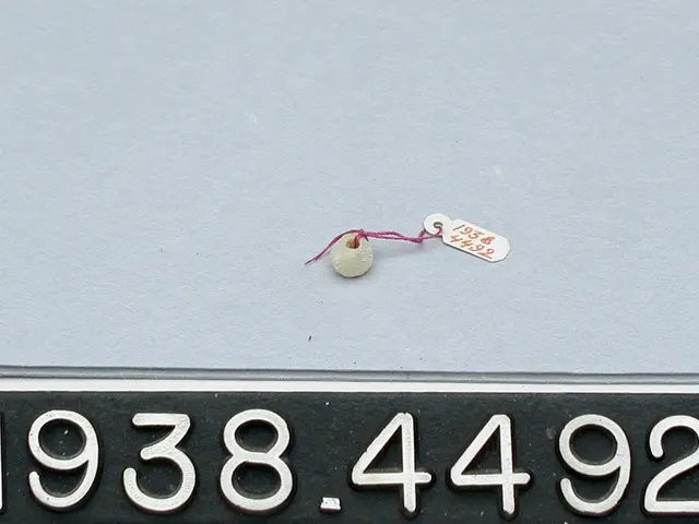 The image shows a close up of a car with a number plate on it. The plate has text and numbers...