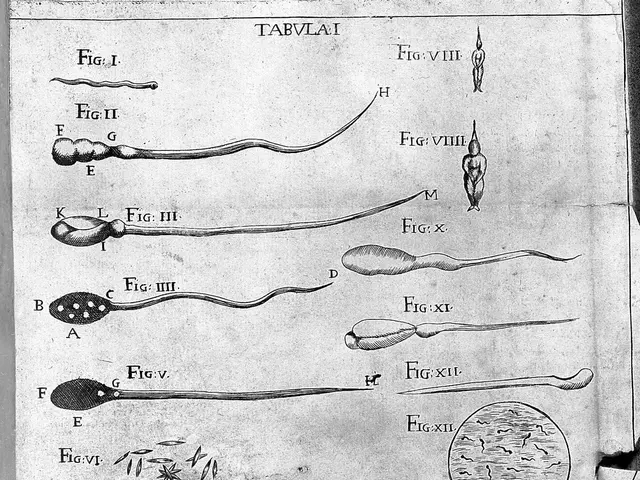 The image shows an old book with a drawing of various types of sperm on it. The paper is filled...