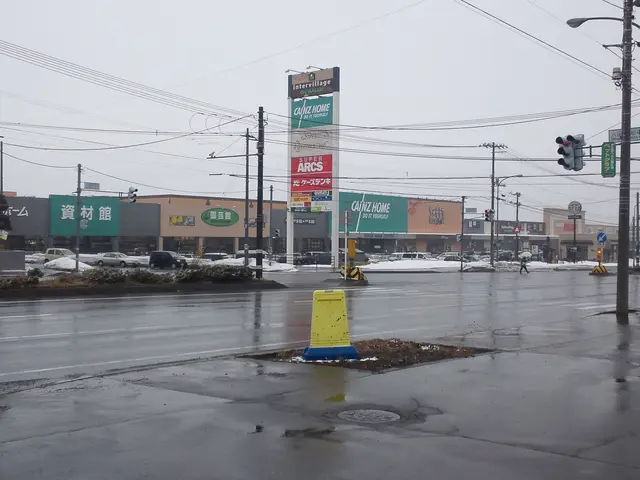 The image shows a city street with a traffic light on the side of it. There are vehicles driving on...