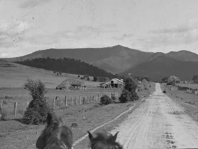 The image shows two horses running down a dirt road surrounded by trees, plants, grass, poles, and...
