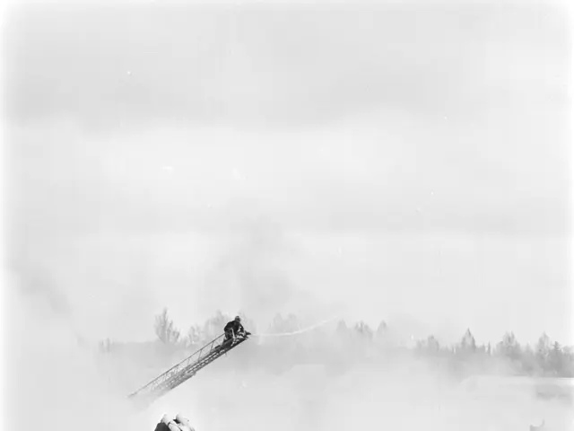 The image shows a black and white photo of two firefighters on a ladder working to put out a fire...
