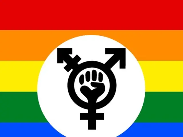 The image shows a rainbow flag with a male and female symbol in the center, representing the LGBT...