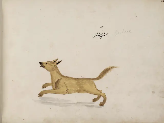 The image shows a drawing of a dog running on a piece of paper with some text written on it. The...