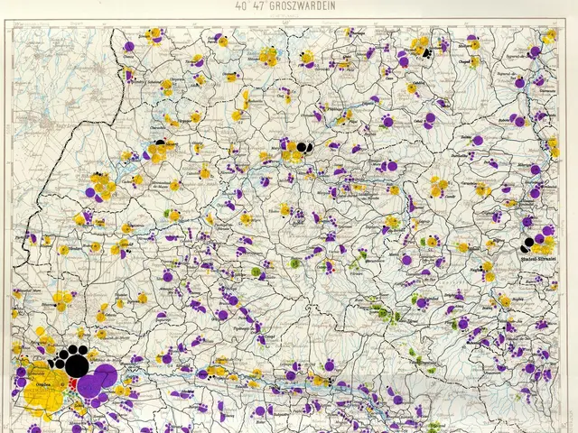 The image shows a poster of a map of Germany with different colored dots scattered across it. At...