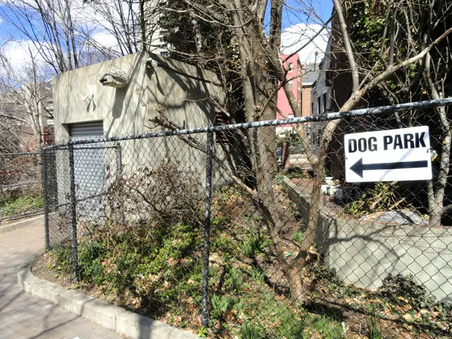 The image shows a dog park with a chain link fence and a sign on it, surrounded by trees, plants,...