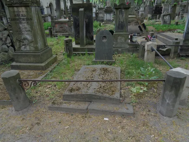 The image shows a cemetery with many tombstones and trees in the background. In the foreground,...