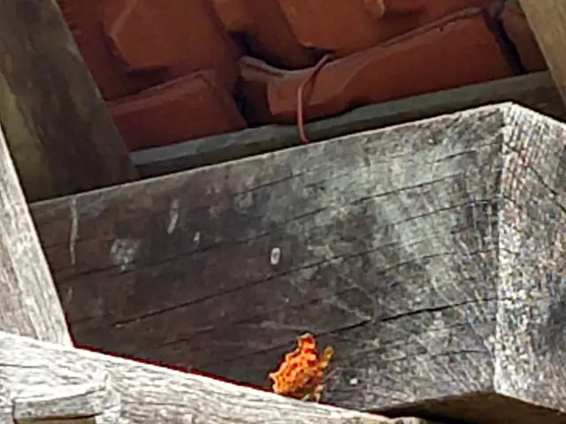 The image shows a small fire burning on the side of a building, with wooden planks and a roof...
