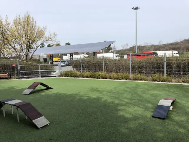 The image shows a dog park with artificial grass and ramps in the middle of it, surrounded by a...