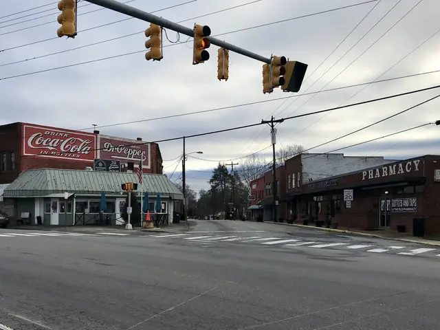 The image shows a city street with a traffic light at the intersection. There are vehicles on the...
