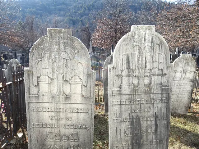 The image shows two headstones in a cemetery with a metal fence in the background, surrounded by...