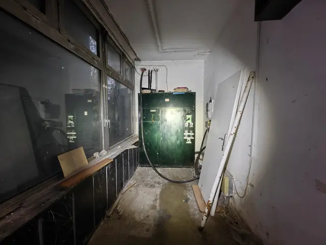 The image shows an abandoned gas station with a green door in the middle of it. On the left side of...