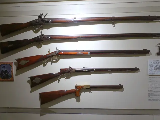 The image shows a display case filled with different types of guns, including a flintlock. On the...