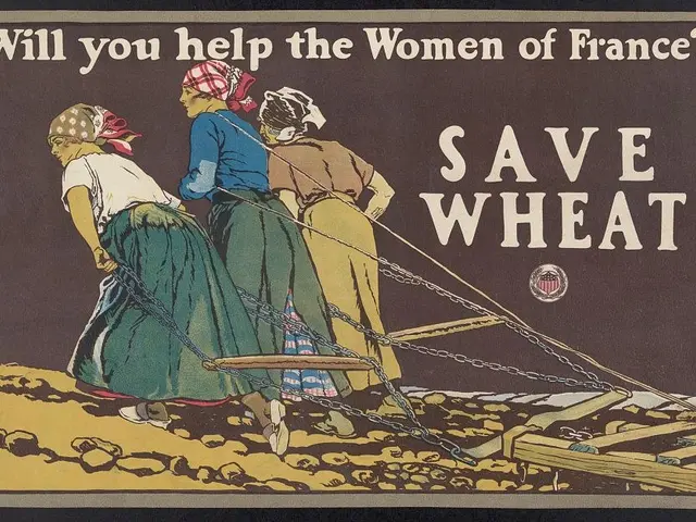 The image shows a poster with the words "Will you help the Women of France? Save Wheat" written...