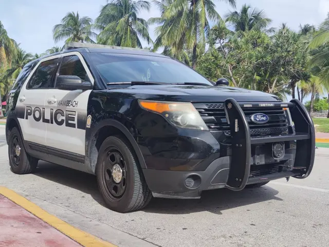 The image shows a police car parked on the side of the road, surrounded by people, bicycles, grass,...