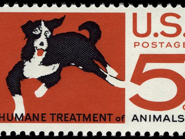 The image shows a postage stamp with a picture of a dog on it and the words "Humane Treatment of...