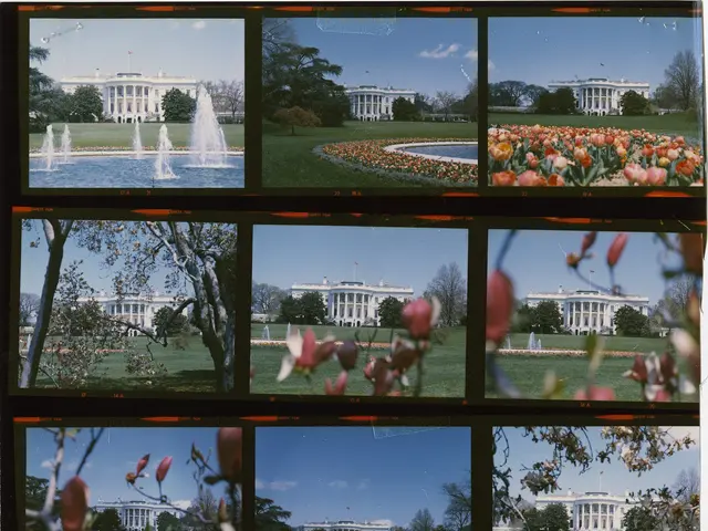 The image shows a photo of the White House in Washington, DC, with a collage of pictures of the...