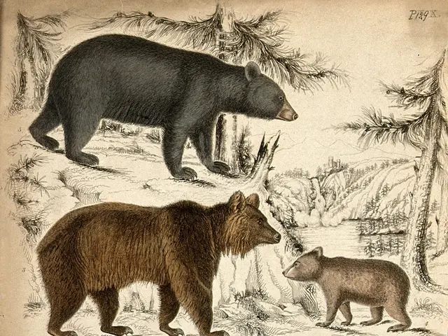 The image shows a book with a drawing of three bears and a bear cub standing in a wooded area...